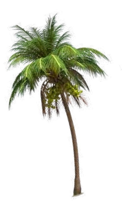 ar-1683367-tf-65615563-1-notext.jpg