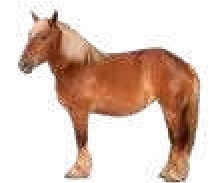 ar-1610875-tf-62189007-1-notext.jpg