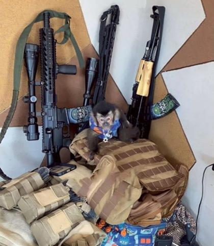 ar-1628481-tf-62987745-1-normal.jpg