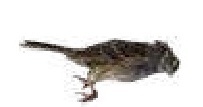 ar-1628507-tf-62988067-2-notext.jpg