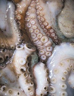 14634_882196_k5_k1_2071763.jpg