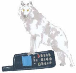 ar-1671731-tf-65074347-1-notext.jpg