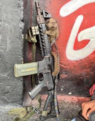 ar-1628481-tf-62987739-1-normal.jpg